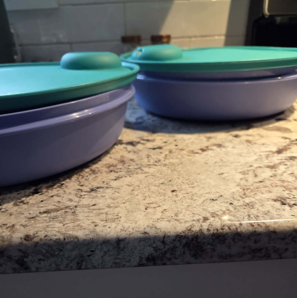 2 Tupperware Microwable Vented Plates